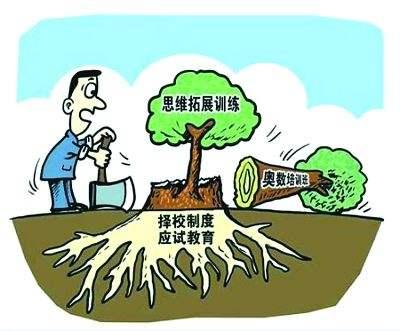 大脑智库：“奥数天才坠落”、奥数比赛暂停……谁来缓解中国父母的焦虑？