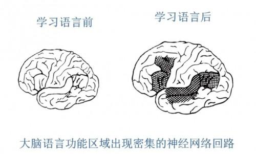 iEnglish：英语学习要遵循语言教育本质规律