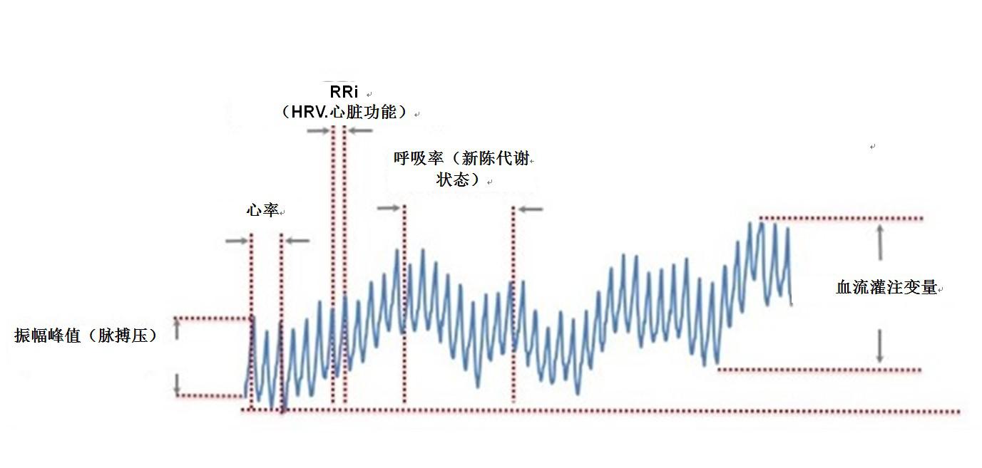 用于生物计量可穿戴设备的光学心率传感器