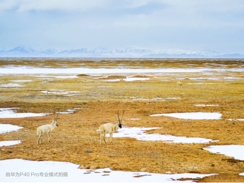 世界地球日：华为P40系列用影像感知自然秘境，定格原始风景