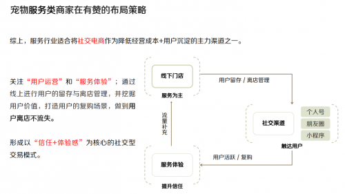 1亿“铲屎官”养宠年均花费5500元，有赞大数据揭秘萌宠经济