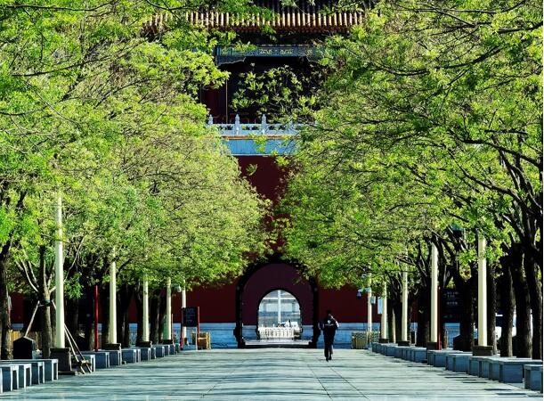 华为P40系列超感知影像下的北京城  近处是传承，远景是未来