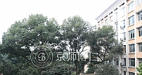 重庆江津中学心理健康活动中心顺利建成