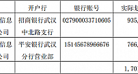 湖北广电公开发行公司证券 募集资金 1,733,592,000 元