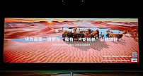 华为“我有一片胡杨林 | 甘肃”公益项目启动 保护沙地约9000亩