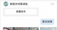 助力乡村振兴 全国首个数智乡村5G消息平台在湖北落地