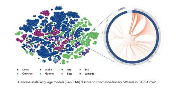 解析基因组的“语言”：戈登贝尔奖决赛选手使用大型语言模型来预测新冠病毒变异株