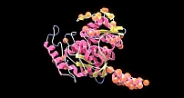 NVIDIA 和 Evozyne 创建用于生成蛋白质的生成式 AI 模型